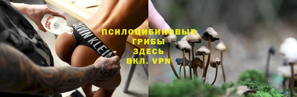 не бодяженный Алапаевск